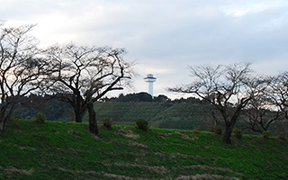 さくら市喜連川の町