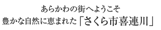 さくら市喜連川の町