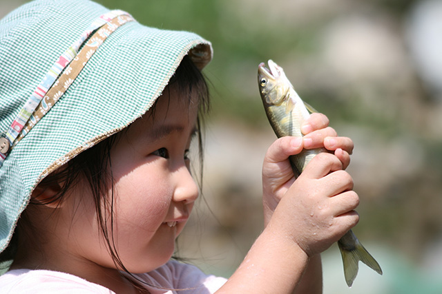 鮎を掴む子供