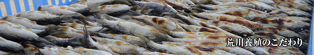 荒川養殖漁業生産組合の概要