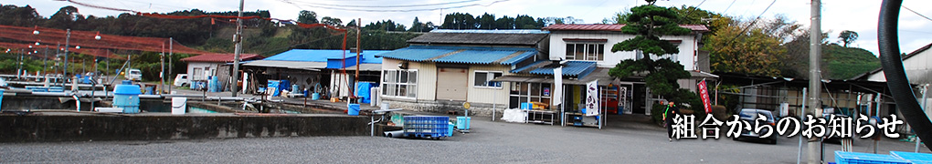 組合からのお知らせ