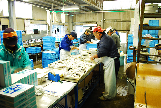 製造・加工の風景